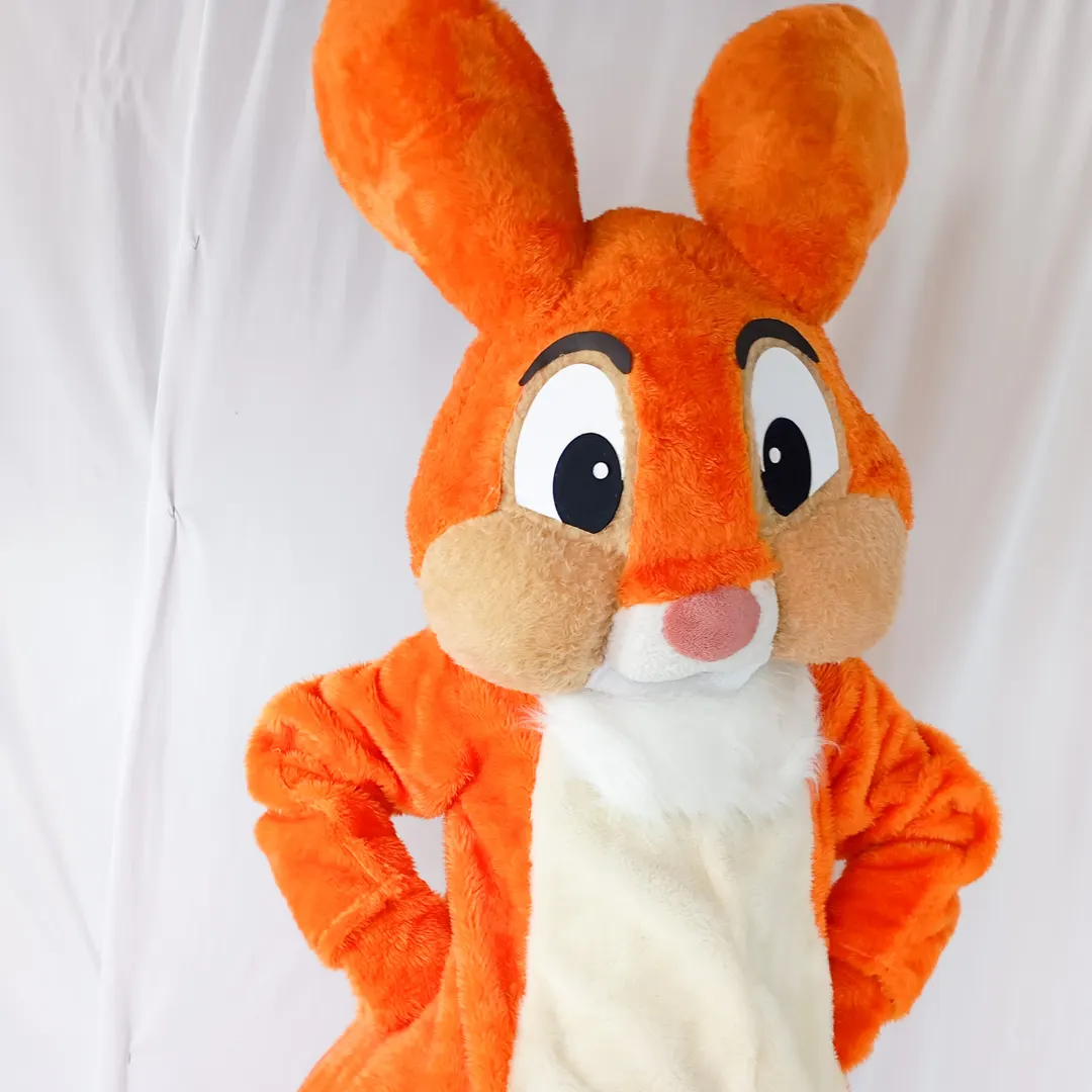 Apresentação encantadora do Coelho Laranja Personagem Vivo em festa infantil na cidade de São Paulo