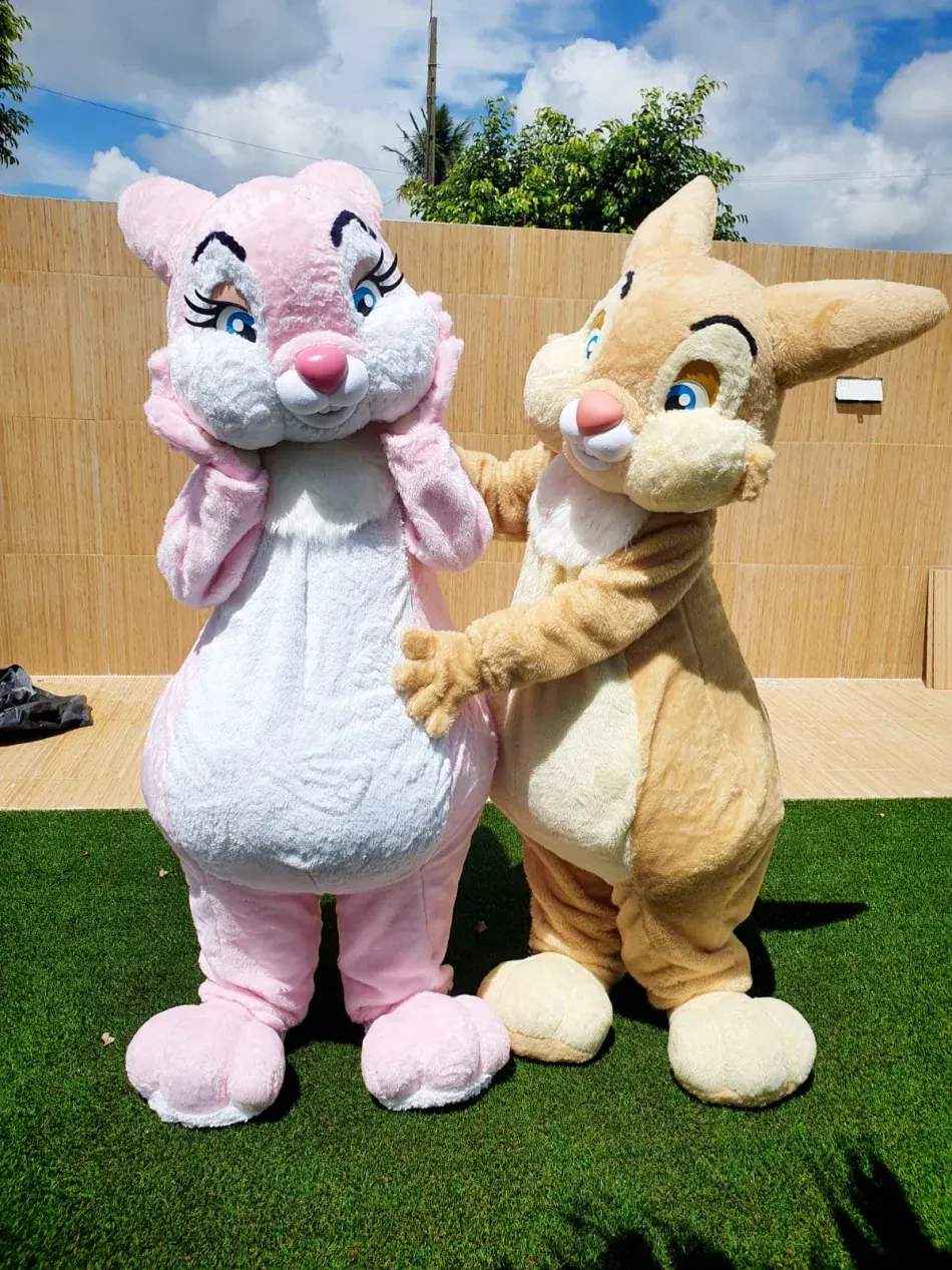 Apresentação especial em Contratar Personagens Vivos para Festa Infantil em Salto