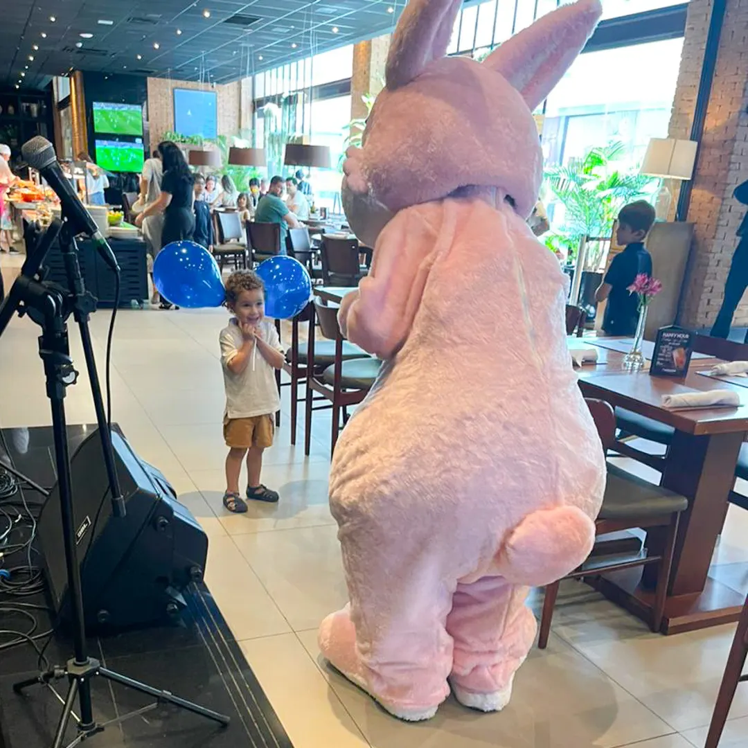 Detalhes do figurino profissional de alta qualidade do Coelho Rosa Personagem Vivo em São Paulo
